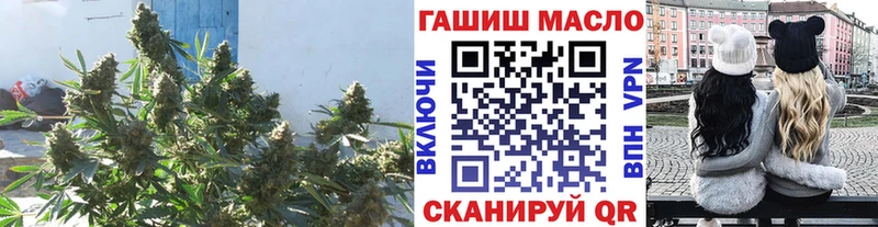 ссылка на мегу онион  Курчалой  Дистиллят ТГК вейп 
