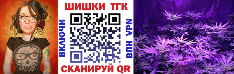 Шишки марихуана семена  мориарти как зайти  Курчалой 